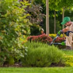 Home Decor and Garden