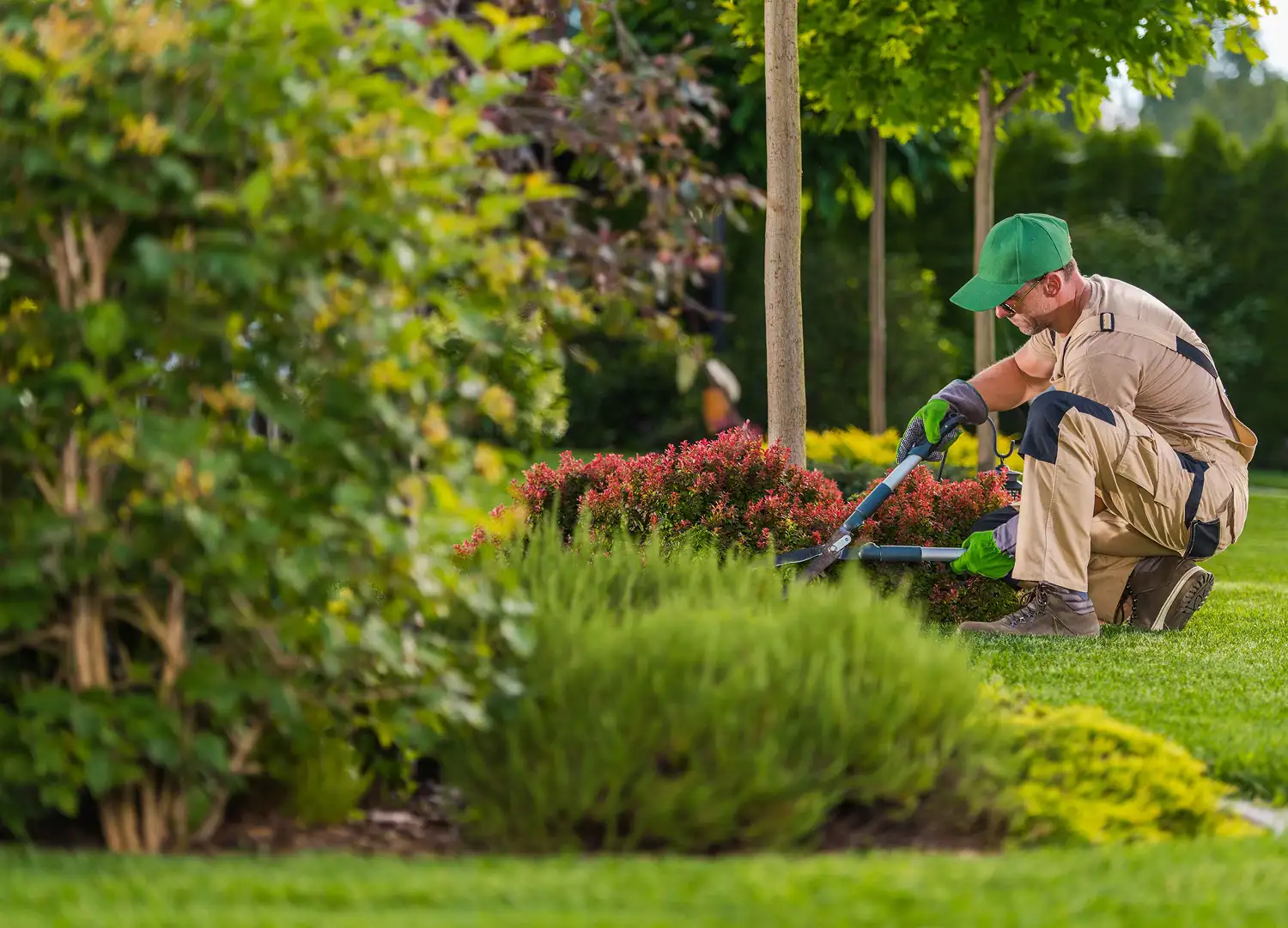 Home Decor and Garden